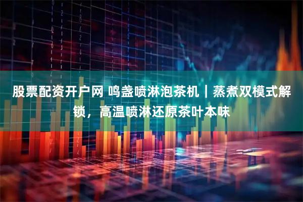 股票配资开户网 鸣盏喷淋泡茶机｜蒸煮双模式解锁，高温喷淋还原茶叶本味