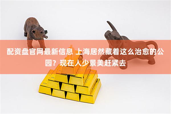 配资盘官网最新信息 上海居然藏着这么治愈的公园？现在人少景美赶紧去